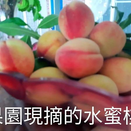 Taitung Linyuan B&B Donghe Eksteriør billede