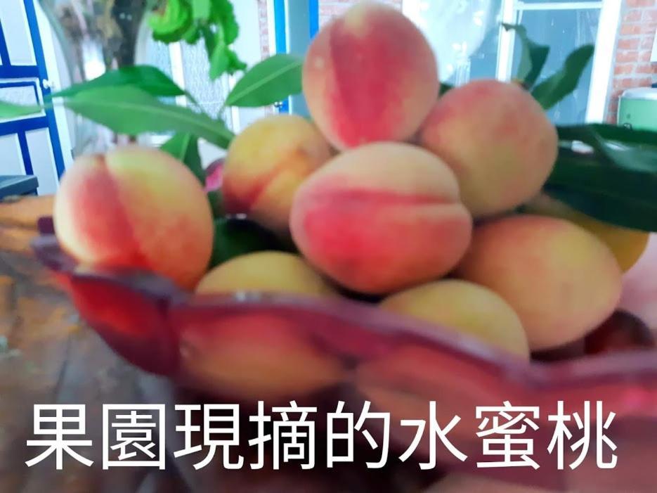 Taitung Linyuan B&B Donghe Eksteriør billede